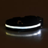 Light Up Safety Pet Collar
